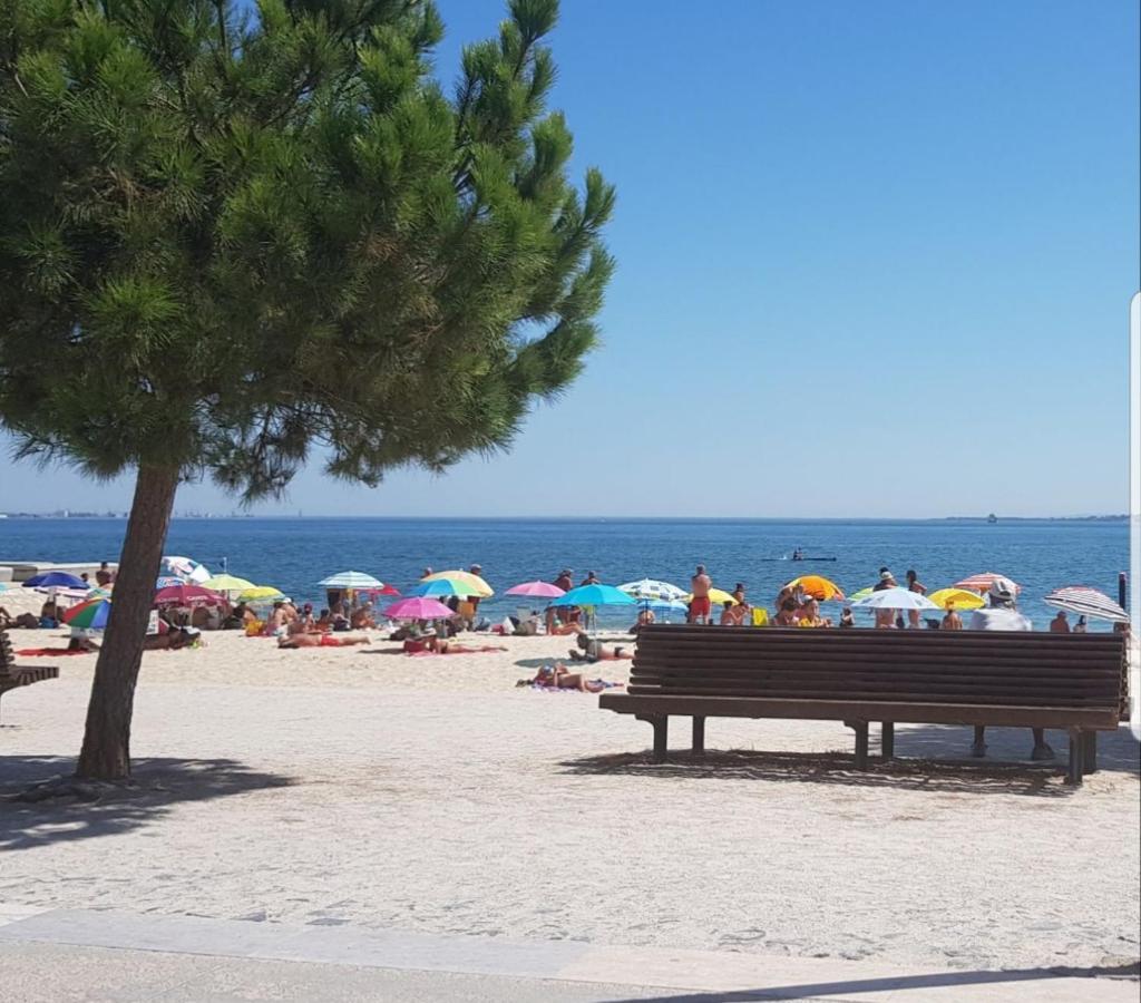 Sunny Setubal