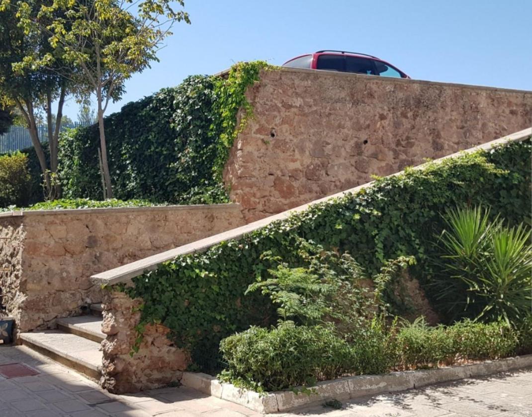 Sunny Setubal